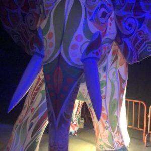 Elefante iluminado gigante